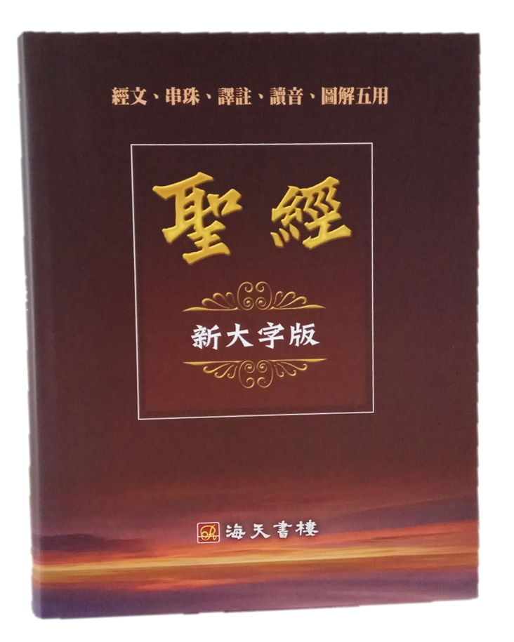 Large Print Traditional Chinese Union Version Bible